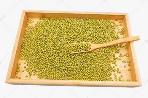 绿色农作物绿豆素材图片免费下载指南——千库网资源推荐